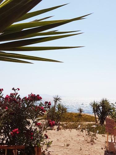 Apartamento Goldie's Home By The Sea