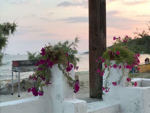 Dimitra Beach Apartments - Nea Karvali Kavala