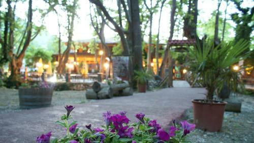 Margaret's Island Hotel