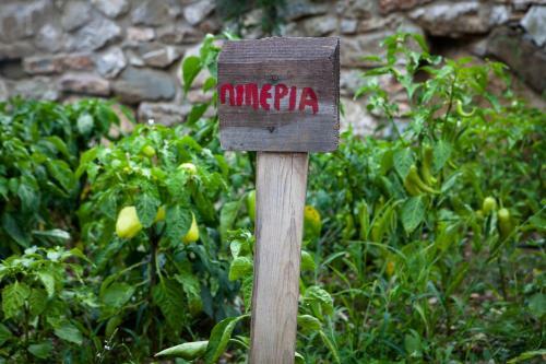 Hostal Montanema Handmade Village