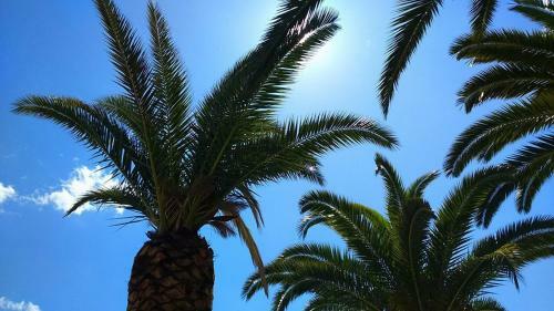 Apartamento Vacations By The Sea