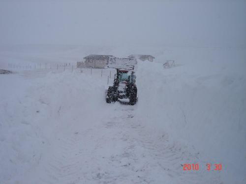 Agroturismo Sireksstadir Farm Holiday
