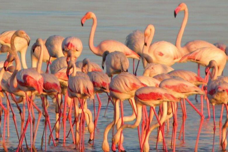 Upon Vila - Alcochete Hotel