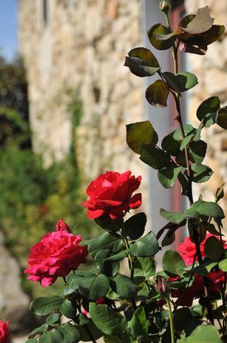 Agroturismo Quinta Da Longra