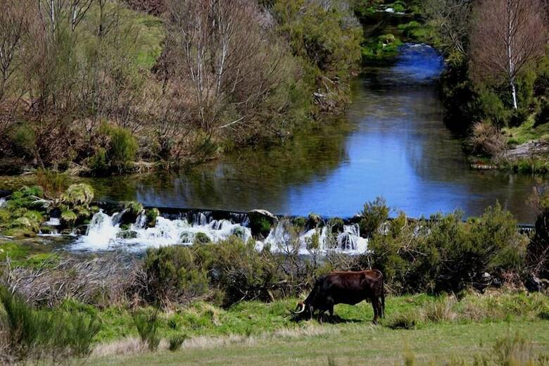 Agua Hotels Mondim De Basto