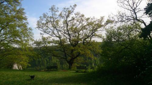 Hotel Berghaus Knopfmacher