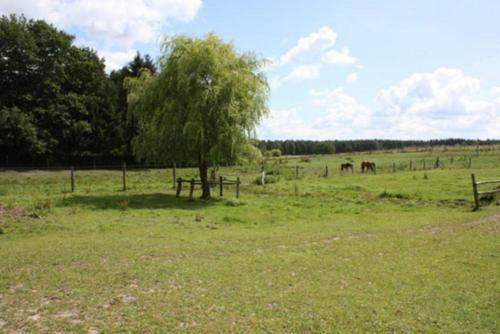Apartamento Ferienwohnung Adamsdorf See 5681