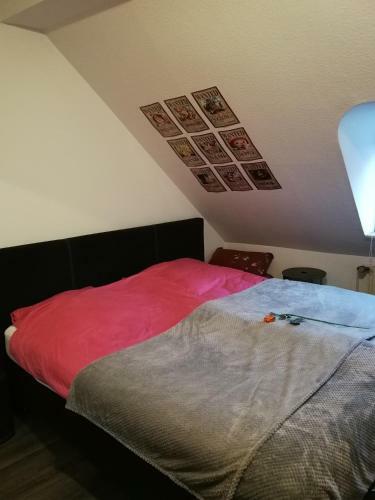 Apartamento Charmante Wohnung Im Stadtkern, St. Wendel - [#109727]