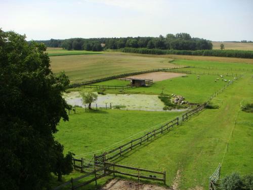 Cosy Holiday Home In Tessin With Terrace
