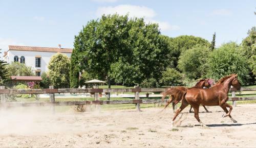 Bed & Breakfast Hacienda Las Tres Ni�as