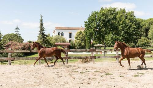 Bed & Breakfast Hacienda Las Tres Ni�as