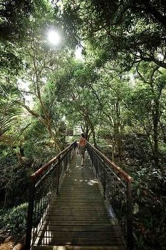 Hotel Palm H�tel & Spa
