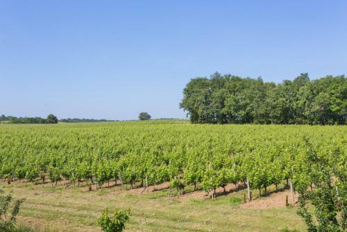 Agroturismo Blesignac Chateau Sleeps 12 Pool Wifi