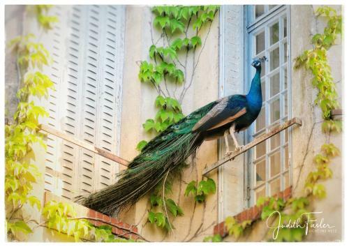 Bed & Breakfast Le Relais Du Doubs En Bourgogne