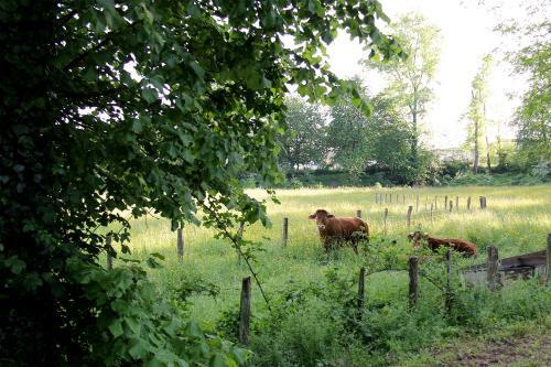 Apartamento Le Petit Appartement En Bourgogne