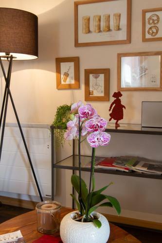 Apartamentos G�te Les Cepages