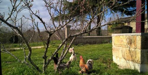 Bed & Breakfast La Ferme Du Ciel
