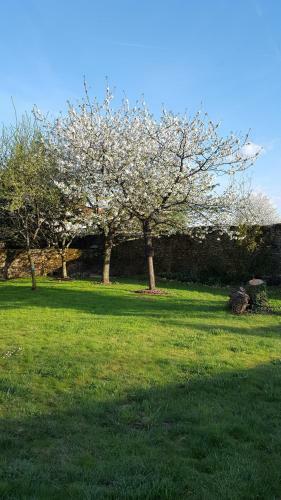 Bed & Breakfast Au Relais Des Songes