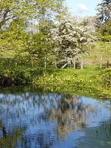 Bed & Breakfast Le Moulin de Charin