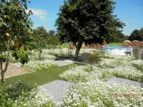 House Maison Lalanne 1