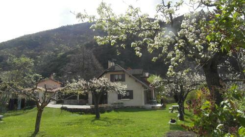 Bed & Breakfast Au Vieux Tilleul