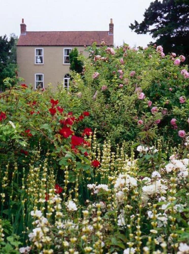 Goltho House Bed & Breakfast