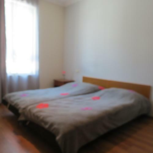 Hostal Tvishi Guest House