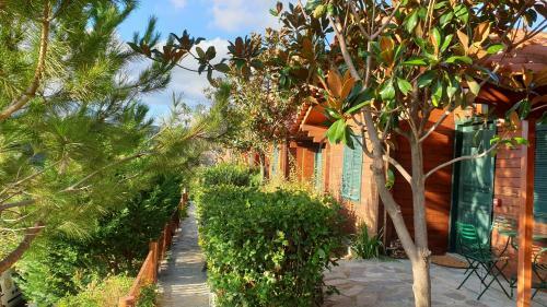 Alagonia Country Homes