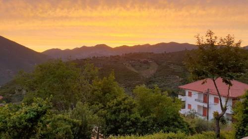 Alagonia Country Homes