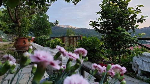 Alagonia Country Homes