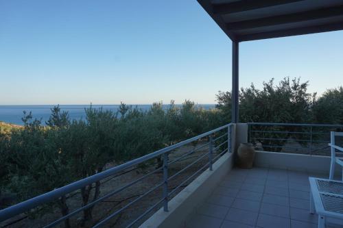 Portela Luxury Homes