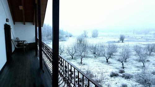 Hostal Guesthouse Odysseas