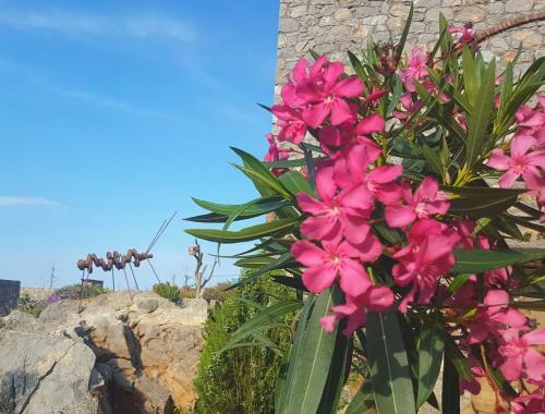 Apartamento Terra Minoika Villas