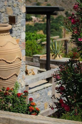 Apartamento Terra Minoika Villas
