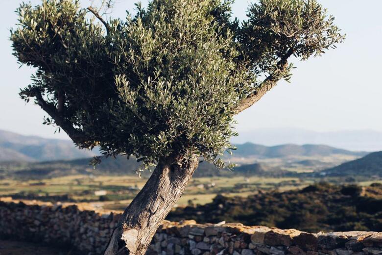 Agroturismo Ayiopetra Exclusive Getaways