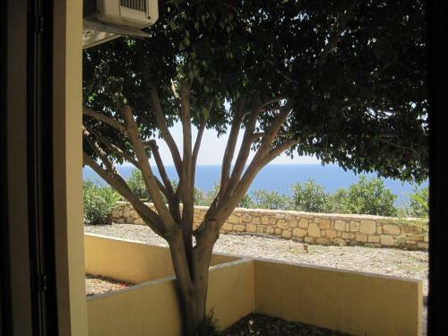 Sfinias Apartments