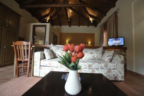 Hotel Pleiades