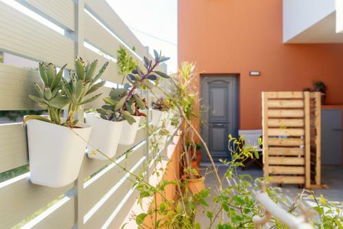 Apartamento Aegina Bed & Culture