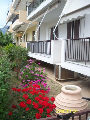 Apartamento Theoxenia Paralio Astros