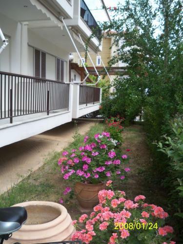 Apartamento Theoxenia Paralio Astros