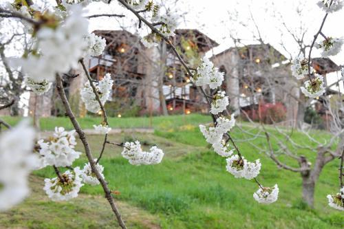 Hostal Vathyskia Guesthouse