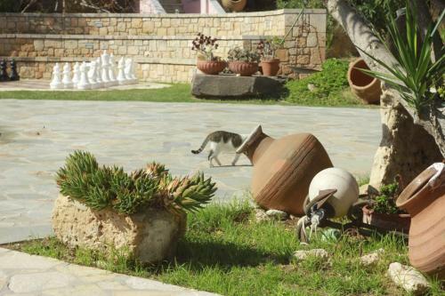 Apartamento Irides