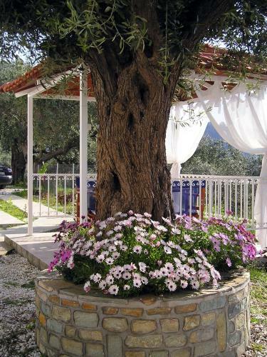 Apartamento Golden Beach Inn