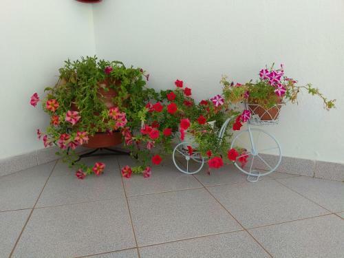 Apartamento Studios Maria