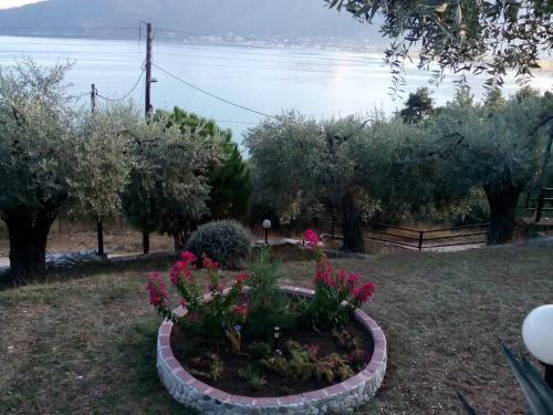 Apartamento Studios Maria