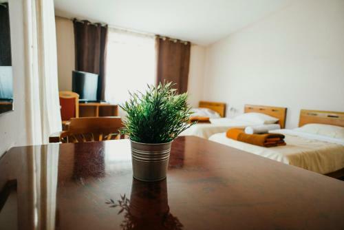 Hostal Guest House Sv. Nikola