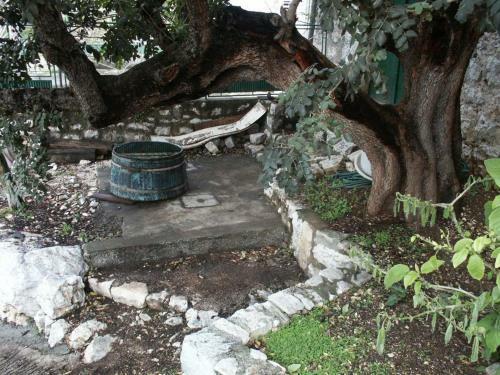 Apartments By The Sea Babine Kuce, Mljet - 611