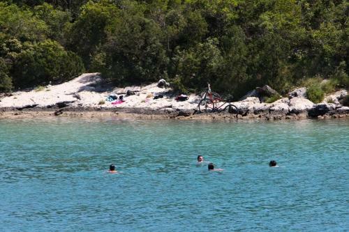 Apartments By The Sea Babine Kuce, Mljet - 611