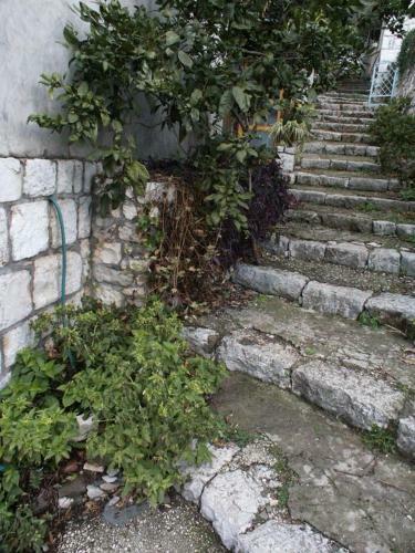Apartments By The Sea Babine Kuce, Mljet - 611