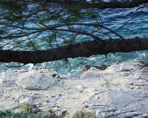 Apartments By The Sea Pomena, Mljet - 10426